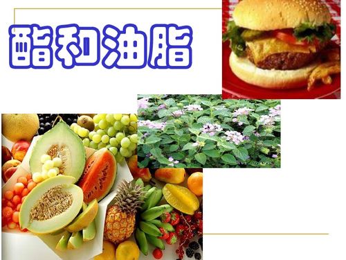 化學高中魯科版必修二3.3酯和油脂下載 化學