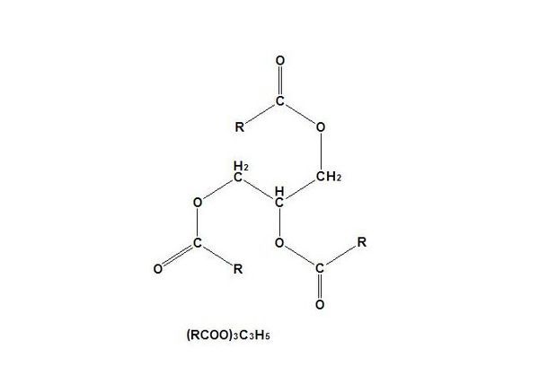 甘油三酯&middot;化學&middot;結構式