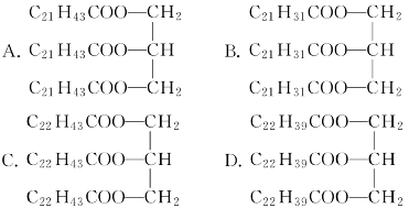 高中化學《油脂》微課精講 知識點 教案課件 習題