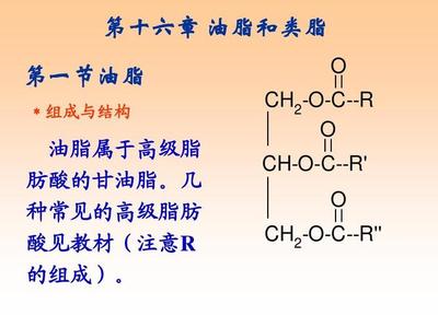 脂肪結(jié)構(gòu)式