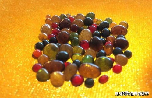 舍利子真不是結(jié)石,舍利子形成的科學(xué)原理