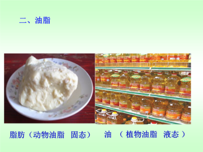 油脂——高中化學人教版選修五