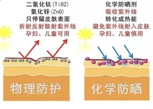 防曬沒涂對、沒涂足，終于知道自己為什么黑了——化學油脂的隱秘陷阱