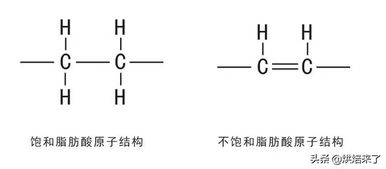 飽和脂肪酸與不飽和脂肪酸 化學油脂知識對烘焙的深遠影響