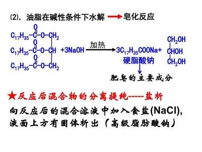 高中化學必修二 油脂與蛋白質的深度解析