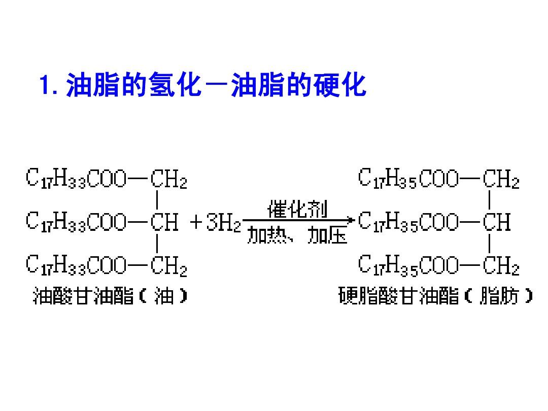 油脂 高三化學中的能量與生命基礎