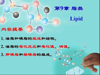 醫(yī)用化學(xué) 第9章 脂類與化學(xué)油脂——結(jié)構(gòu)與功能的生物學(xué)探秘