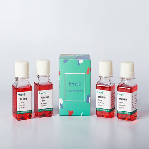 細(xì)胞化學(xué)產(chǎn)品及化學(xué)油脂采購指南 價(jià)格、供應(yīng)商與選購要點(diǎn)